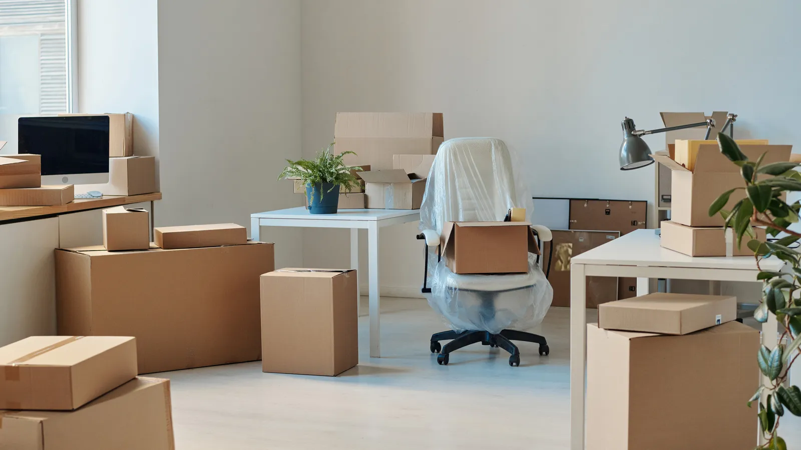 office move services