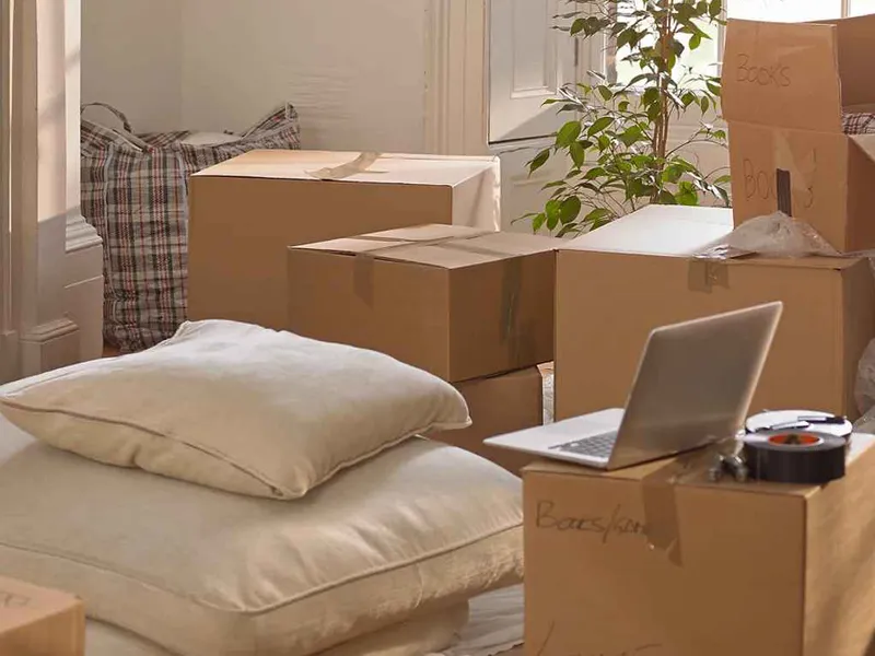 grays removals boxes
