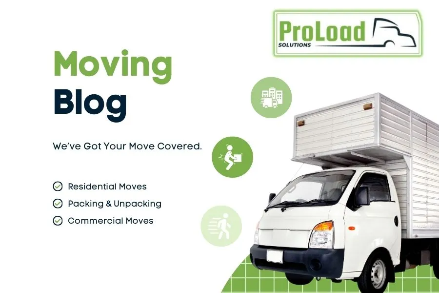 Removals Blog