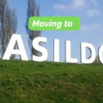 Moving to Basildon in 2026 – Pro Load Solutions van in Essex town